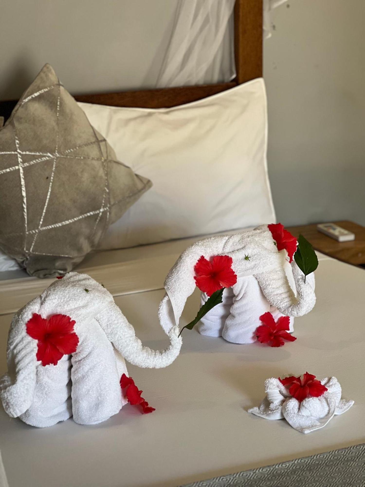 Seashore Beach Hotel Kiwengwa  Bagian luar foto